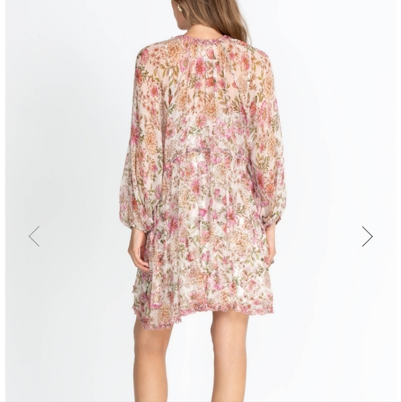 Johnny Was Floral Sheer Dress size small - Picture 4 of 11